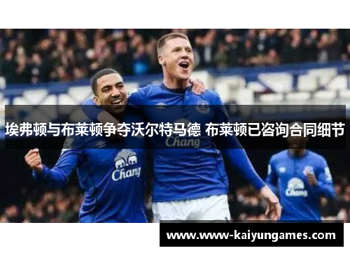 埃弗顿与布莱顿争夺沃尔特马德 布莱顿已咨询合同细节
