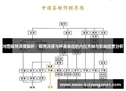 河南板凳深度解析：板凳深度与杯赛表现的内在关联与影响因素分析