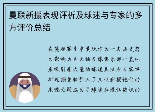 曼联新援表现评析及球迷与专家的多方评价总结
